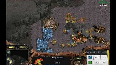 2009 WCG Korea  Hwasin vs hyvaa 2009-08-13  @ Outsider