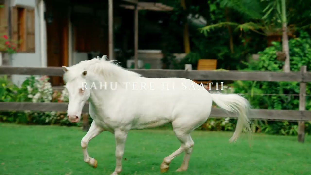 TAMANNA (lyric video) - pray2bae & shaitan