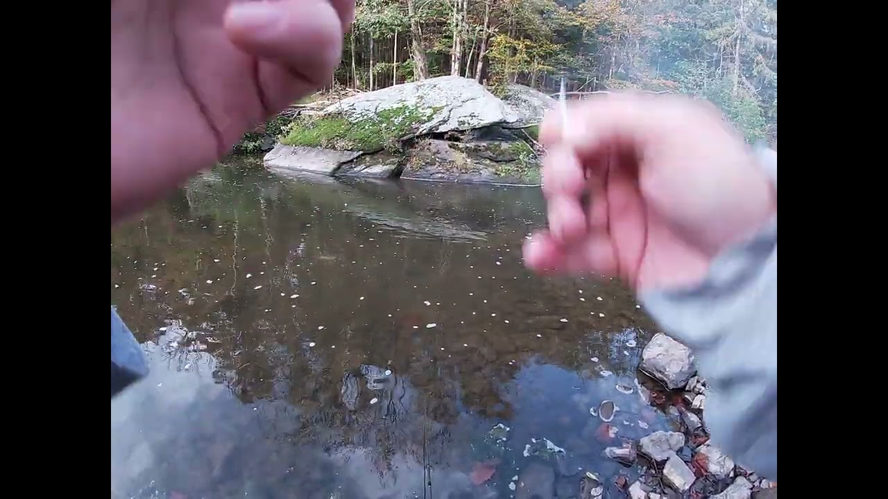 Bass fishing on the Unami.