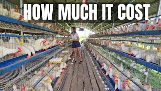 How Much Did it Cost To Raise Layer Chickens from Day old until 17 Weeks (1000 Hens)