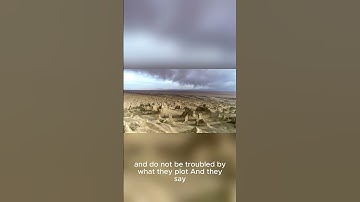 The Ant 69,72 سورة النمل  #theholyquraninenglish#quotes#quranictranslation #allahattributes #المصحف
