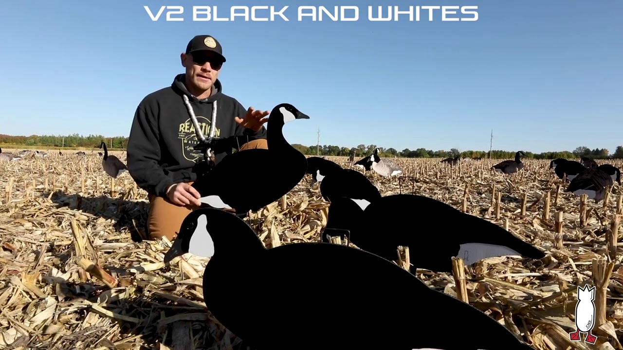 Dive Bomb Industries V2BW (Black and White) Silhouette Decoy YouTube