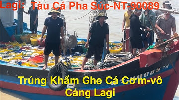 Lagi- Tàu Cá Pha Súc-NT90089 Trúng Cá Cơm Khẩm Ghe Vô Cảng Lagi.Cá Cơm Cảng Lagi Xe Chở Không Kịp 