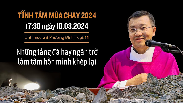 Hoà bình trong tiếng anh là gì năm 2024