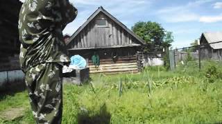 картинка: Пневматический пистолет МР-654К. Стрельба охотничьей дробью 00.