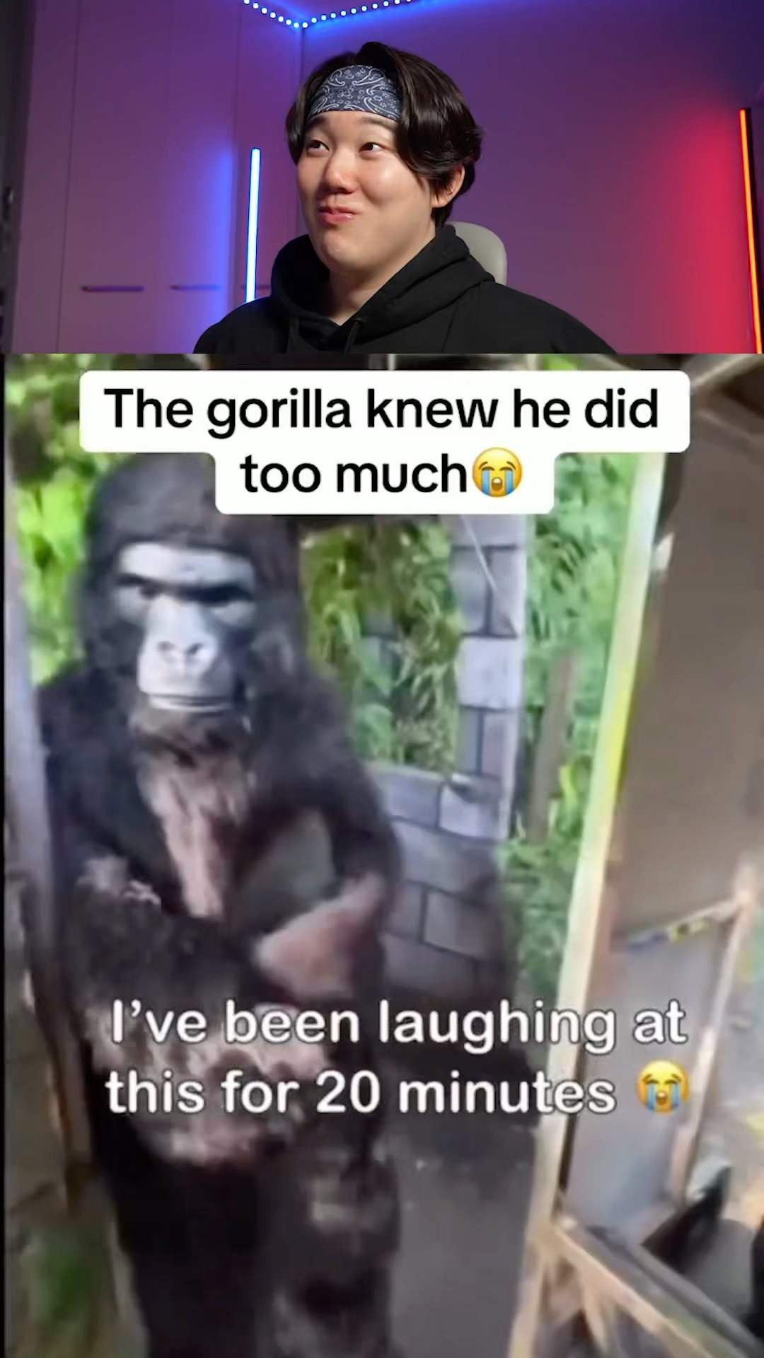 Try Not to Laugh Challenge 941 ? #funny ⁠#shorts #viral