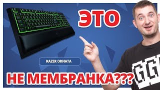 ПОЧЕМУ ОНА ЩЕЛКАЕТ? ✔ Обзор Игровой Клавиатуры Razer Ornata!