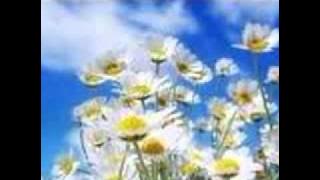 Benjamin Dube - We Lift Him Higher