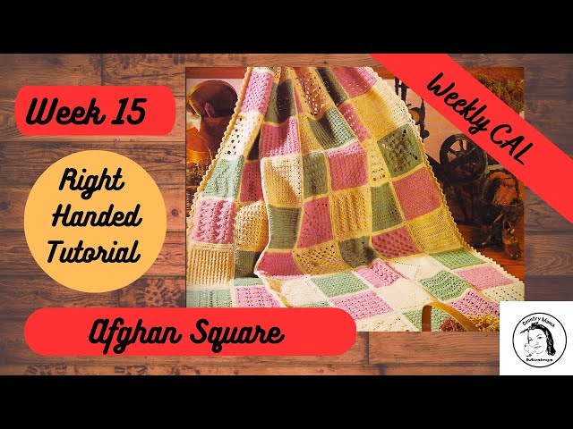  LEISURE ARTS Granny Squares Bk, None : Arts, Crafts