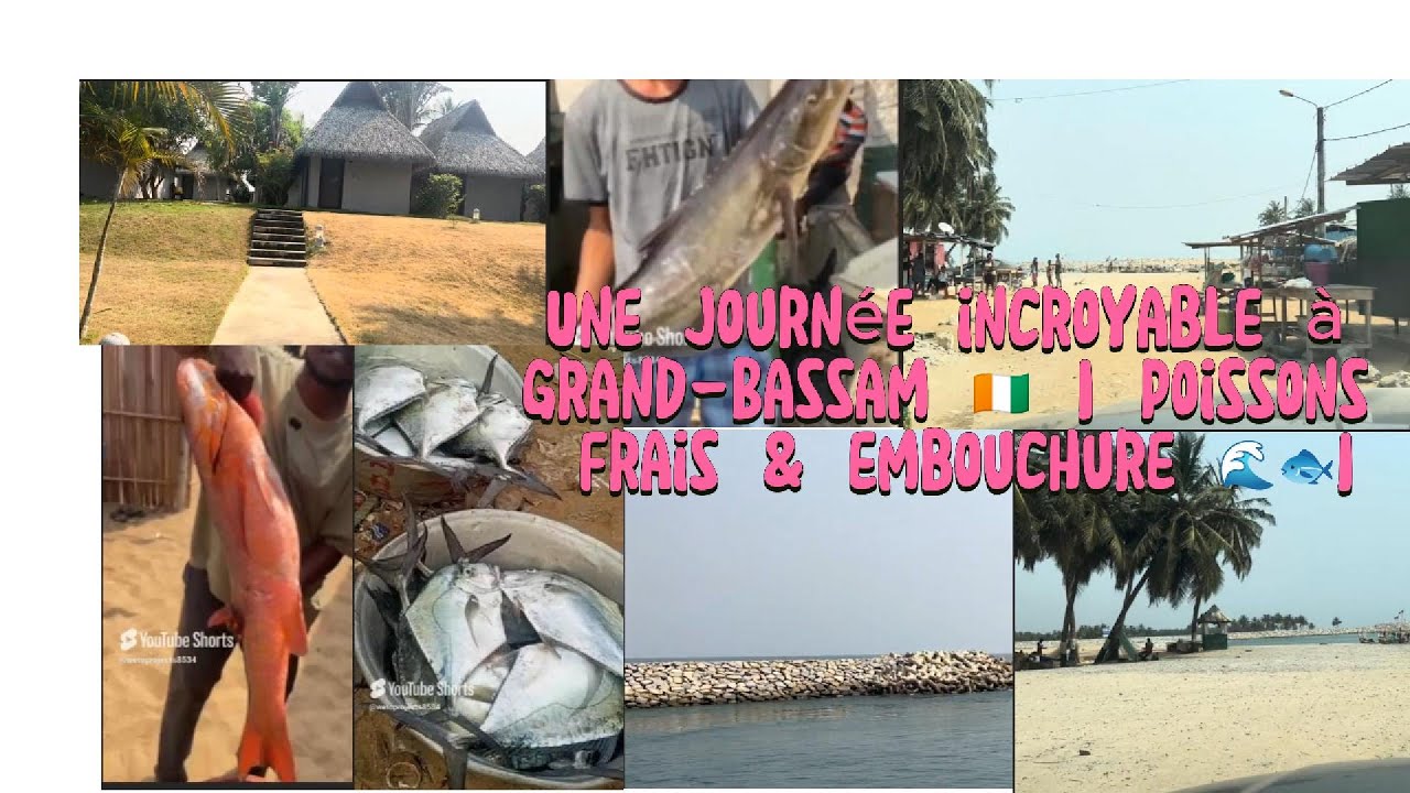 Grand-Bassam Côte d’Ivoire | Visite du marché aux poissons et de l’embouchure