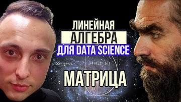 Линейная алгебра для Data Science: Вектор и Матрица. #numpy #datascience