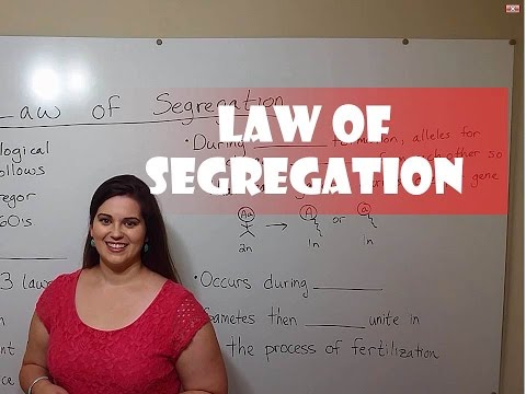 Mendel's Law of Segregation