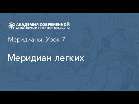 Меридиан легких. Иглорефлексотерапия обучение онлайн. Академия акупунктуры Акумед.