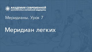 Меридиан легких. Иглорефлексотерапия обучение онлайн. Академия акупунктуры Акумед.