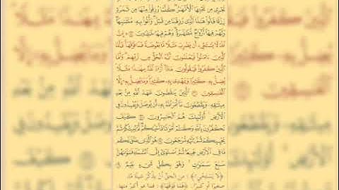 ليبقى الأثر الصفحة 5 من سورة البقرة مكررة بصوت الشيخ أيمن سويد
