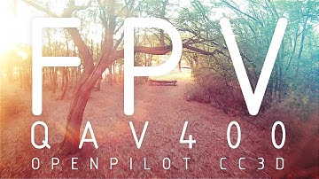 QAV400 - Watch out for the trees