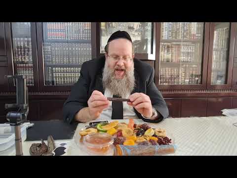 טו בשבט , פרות טוב בשבט, בדיקת הפרות, פרות יבשים,נגיעות בפרות, הרב יוסף דורפמן, Rabbi Yosef Dorffman