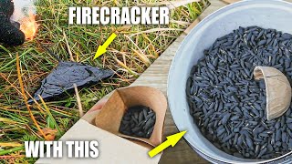 Making & Shooting Firework Triangles with my Fast Charge
