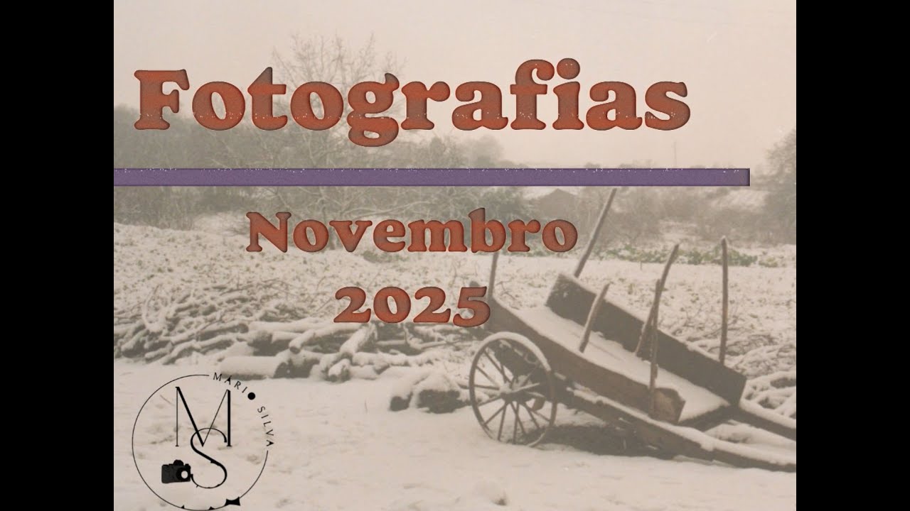Novembro 2025   Fotografia   Mário Silva