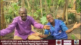 Success Story  Agro Ecology -CARITAS Diocese of Buea