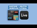 How to Use Maschine MK3 and Ableton Workflow - Tutorial 2018