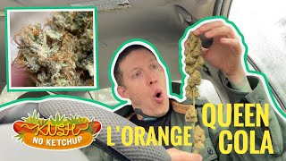 L'Orange Queen Cola | KUSH NO KETCHUP