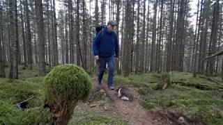 14 Km Lång Vandringsled I Bredared, Borås Kommun