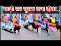 जानवरों के Funny mument || Danger Animals || 720p