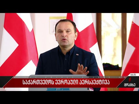 საქართველოს ევროპული პერსპექტივა - შეფასებები პოლიტიკურ სპექტრში