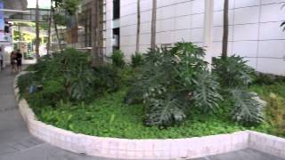 DSC 0033