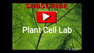Plant Cell Lab