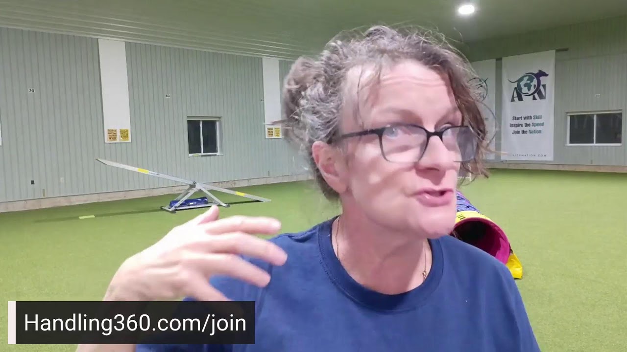 Here's to Your Next Year in Dog Agility Being AMAZING