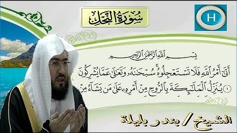 سورة النحل من المصحف الكامل للشيخ بندر بليلة إمام الحرم المكي
