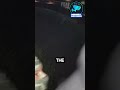 Two burglars tried to break into the house.(Caught on Ring Doorbell) #doorbellcamera #doorbellvideo