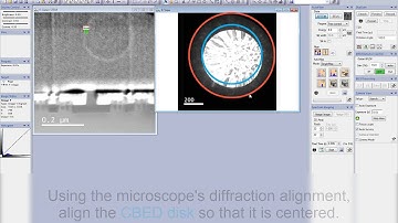 STEM Alignment for EELS Analysis