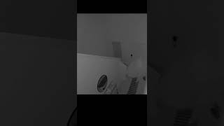 Ring Camera Catches Ghost inside of A Home #shorts
