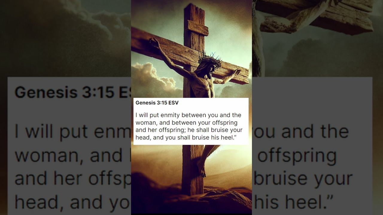 Bible Verse Image Browser