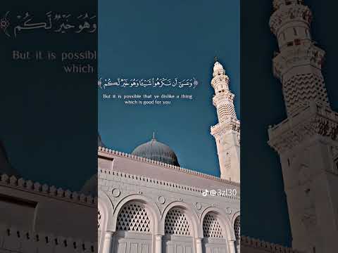 الاستغفار انت مفكر أن احنا لينا حد غير ربنا اسمع الشيخ سمير مصطفي