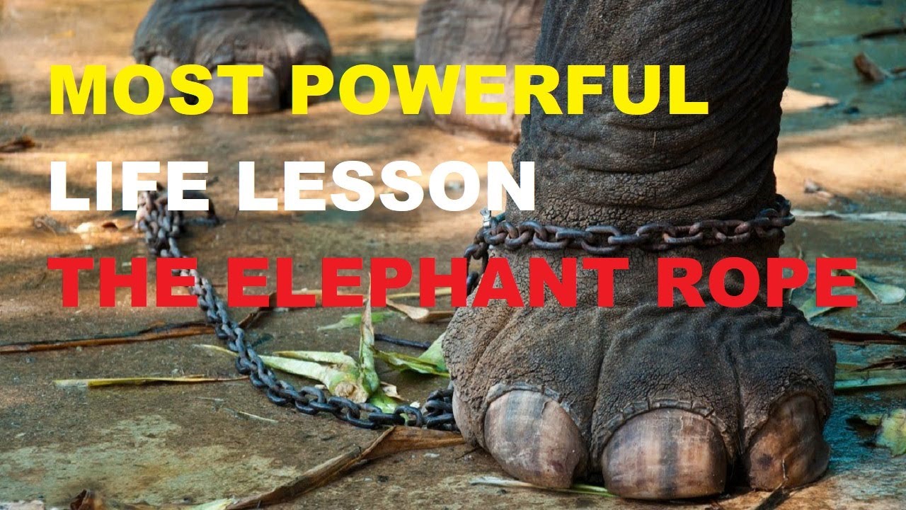 THE ELEPHANT ROPE | POWERFUL LIFE LESSONS