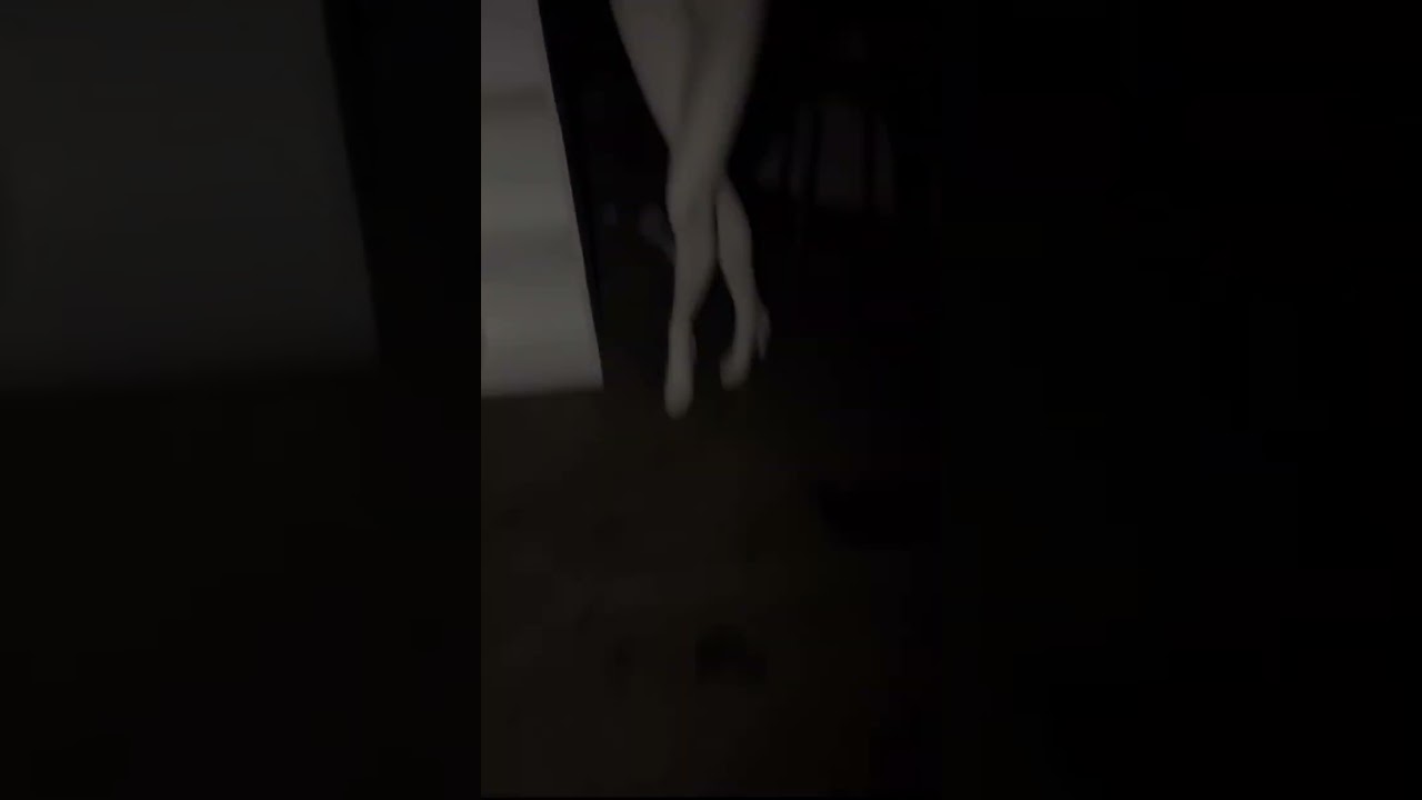 POV: warehouse containing $12,500 Ikea Family Guy Shelf 