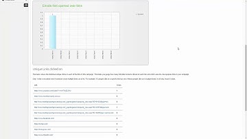 Email Marketing Campaign Statistics