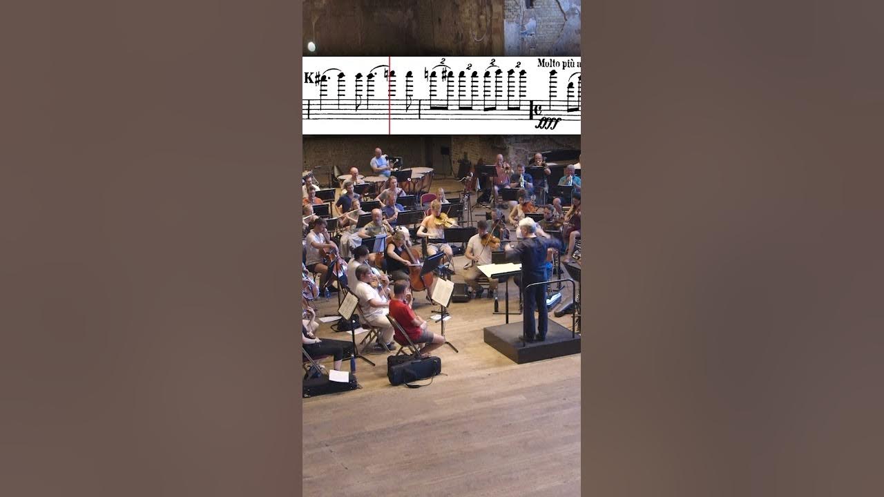 Tchaikovsky – Symphony No. 5 (#shorts)