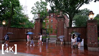 [4K] Walking at Harvard University - Rainy Day ASMR - Cambridge, MA - Binaural Audio screenshot 2