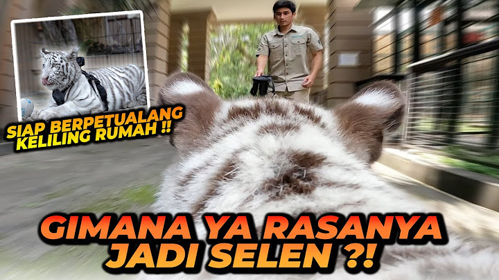 SEHARIAN BERPETUALANG BERSAMA SELEN ! TERNYATA BEGINI RASANYA JADI SELEN !!