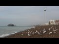 Early morning on the beach (Brighton,UK,08/11/2020)