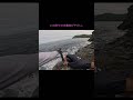 この釣りの中毒性はヤバい....#fishing #底物 #磯釣り #釣り