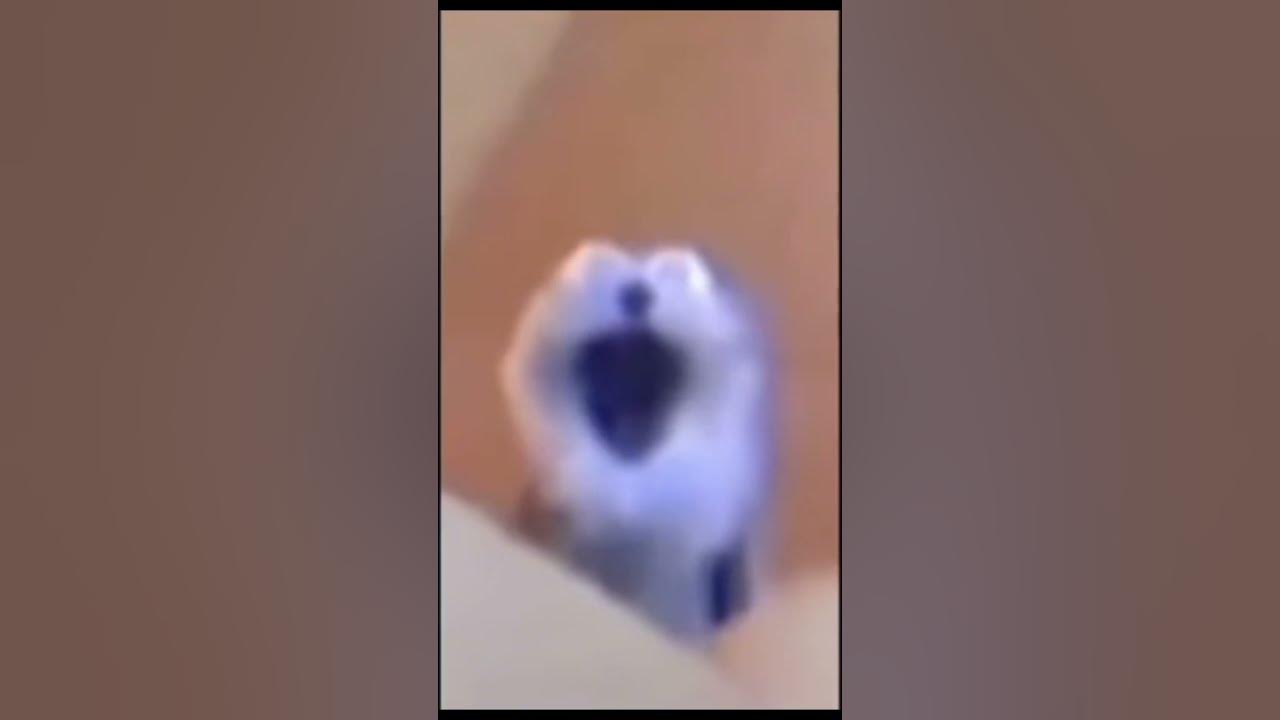 don-t-ask-what-i-m-posting-i-m-bored-asl-viral-youtubeshorts