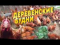 Деревенские будни | ПОЛУЧИЛИ НАГРАДУ ДЛЯ ВЕРЫ, ПОСЫЛКА В ВЕЛИКОБРИТАНИЮ | Жизнь в деревне