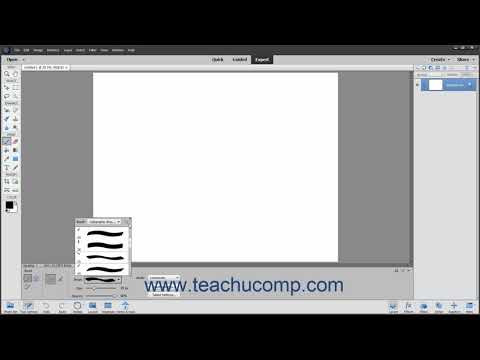 Photoshop Elements 2021 Tutorial Using the Brush Preset Picker Adobe Training
