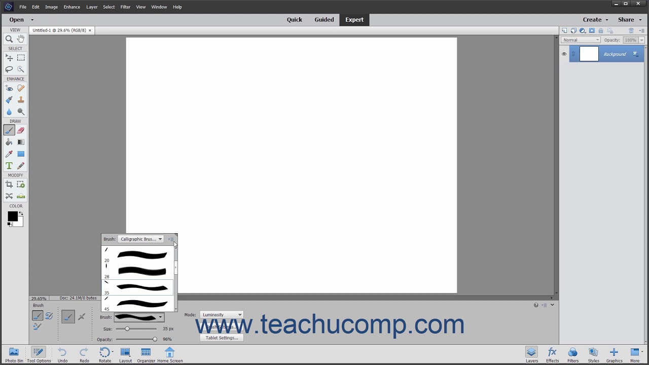Photoshop Elements 2021 Tutorial Using the Brush Preset Picker Adobe ...